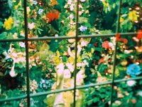 photos 2000-200900971